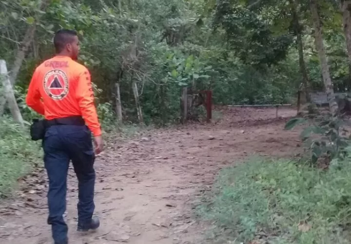 Luego de ser ubicada fue devuelta al área urbana de la región.  /  Foto: Sinaproc