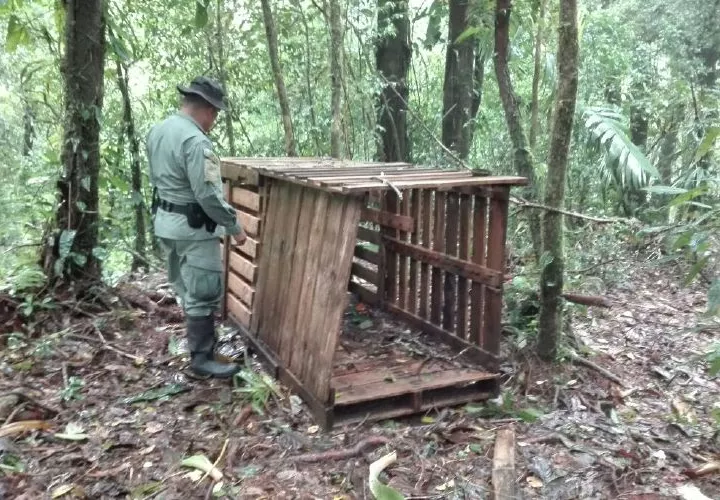 Esta es la trampa encontrada recientemente en el área prohibida para cazar.