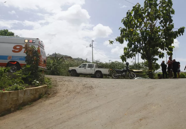 Los insectos atacaron al señor y a animales domésticos. Foto Edward Santos Crítica