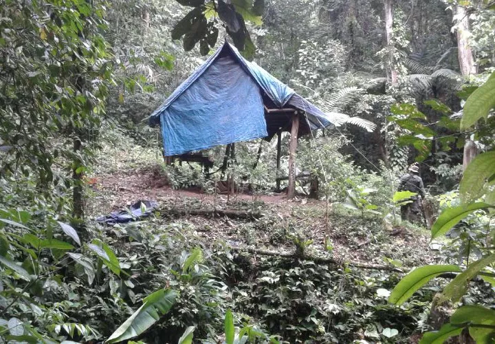 Vista general de un área verde en Guna Yala. Foto: Ilustrativa