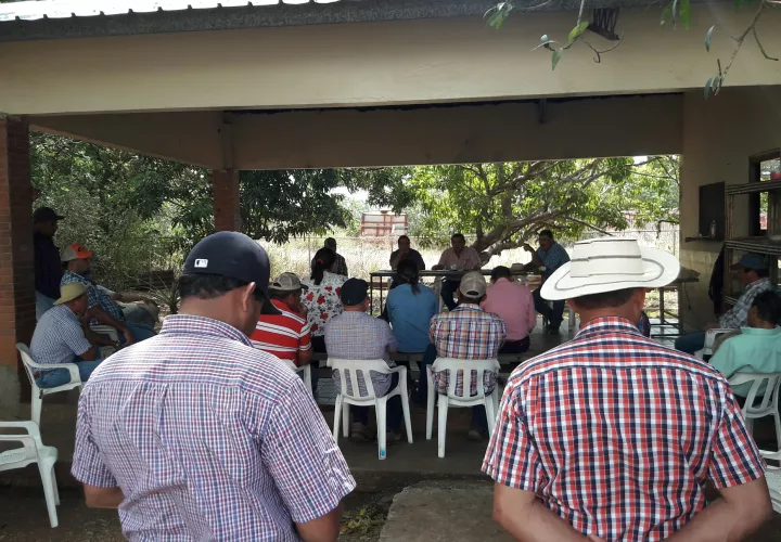 Los maicero están preocupados 