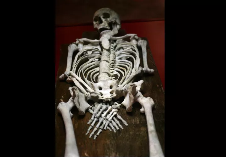 Mediante el uso de microscopios de alta resolución, el equipo liderado por Natalie Reznikov, de la Universidad McGill de Montreal (Canadá), encontró una estructura de cristal previamente desconocida que forma parte del material óseo. EFE/Archivo