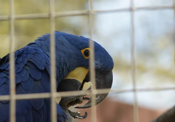 Foto: Ilustrativa - Pixabay