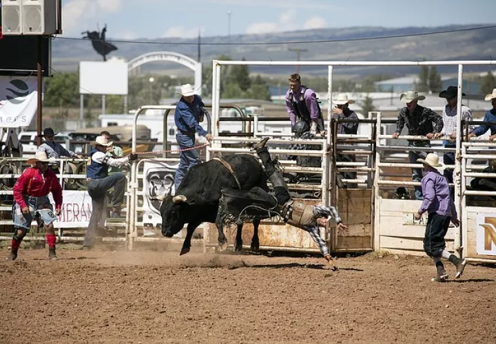 Foto: Ilustrativa - Pixabay