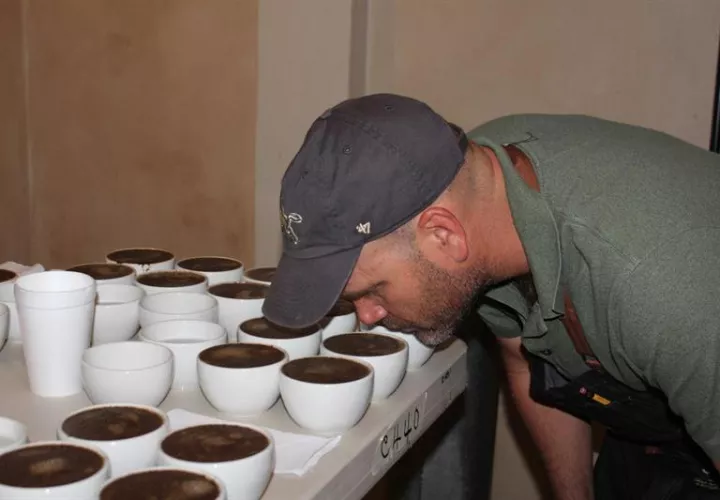 En esa actividad compradores internacionales de los cinco continentes ponen su mirada en el café fino de Panamá. Foto: EFE Archivo
