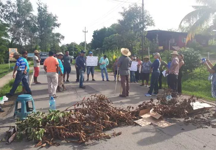 Los manifestantes procedieron a cerrar con ramas y bancos la vía debido a la actual problemática.  Fotos: Elena Valdez