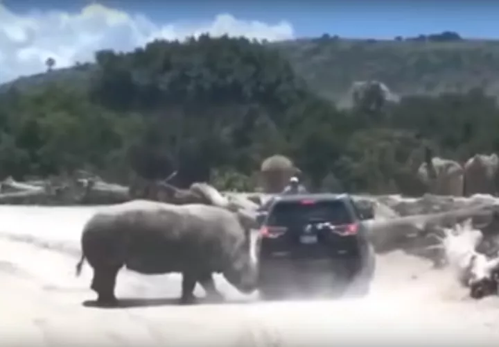 Captura de video. LO MAS CALIENTE DE LOS FAMOSOS