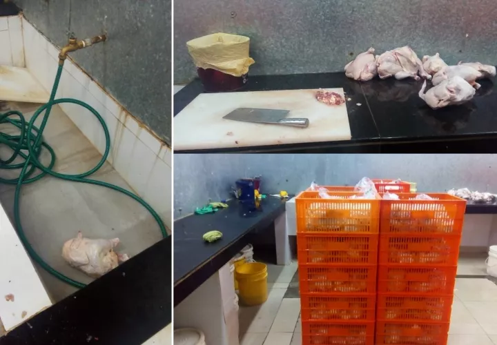 El Minsa ubicó varias anomalías en empresa de reempaque de pollo. 