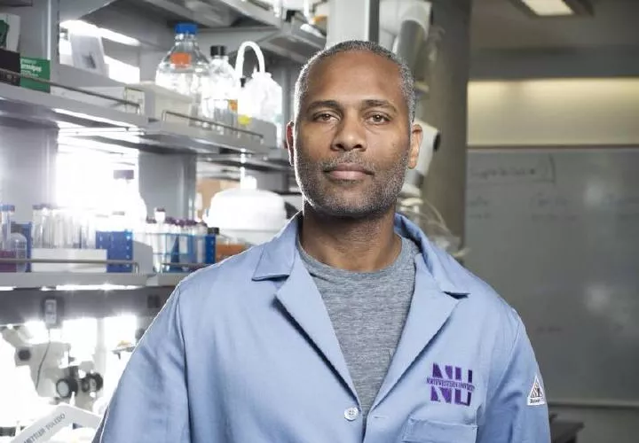 Ameer es miembro de la Asociación Biomédica de Estados Unidos y experto en ingeniería regenerativa de distintos tipos de tejido humano, como hueso, piel y ligamentos.