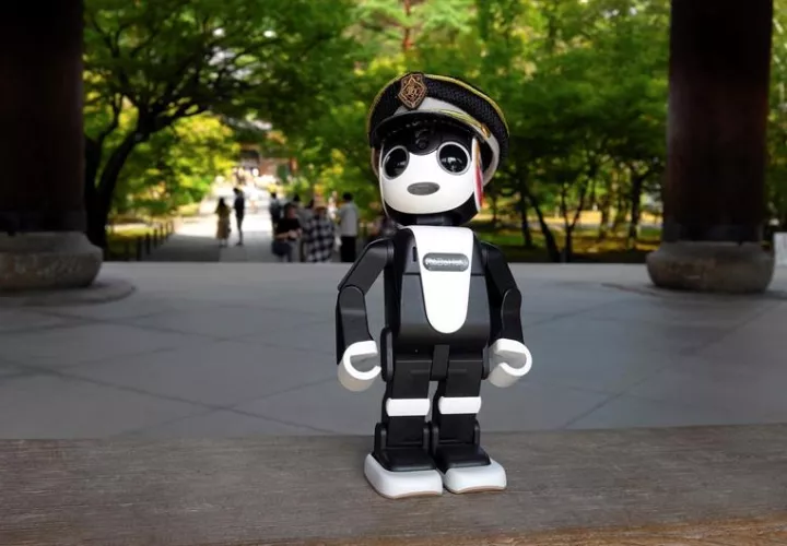 El servicio, que estará disponible entre el 22 de septiembre y el 31 de marzo de 2019. EFE