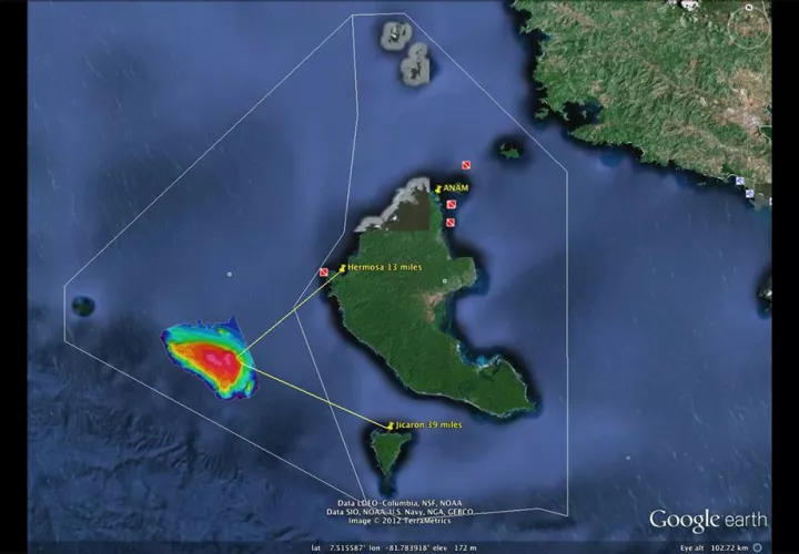La nueva especie fue ubicada a 60 kilómetros del Pacífico continental de Panamá, por investigadores del Instituto Smithsonian de Investigaciones Tropicales en Panamá. Foto: Stri
