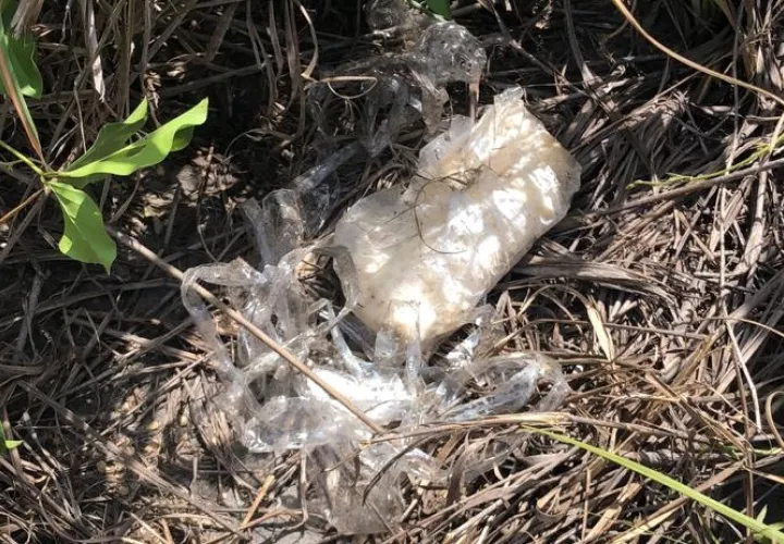 La Policía Nacional dio a conocer que seguirá con estos operativos de seguridad que buscan llevar a la población a sentirse en un entorno de seguridad ciudadana. Foto: Mayra Madrid