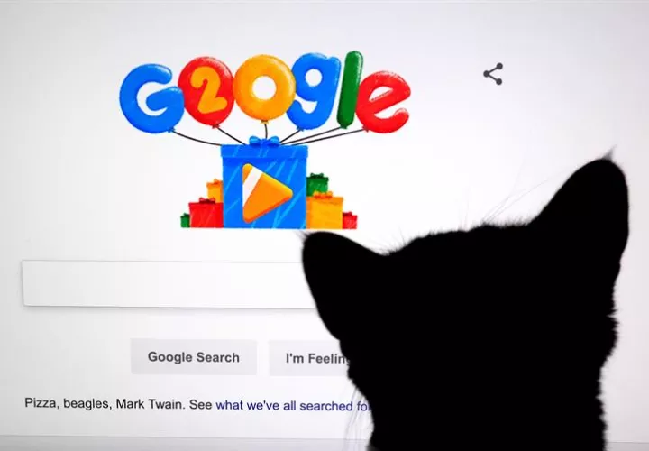 Fotografía de archivo fechada el 27 de septiembre de 2018 que muestra a un gato frente a una pantalla con el doodle por los 20 años de Google, en Mountain View, California (EE.UU.). EFE