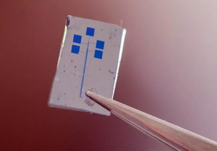 Un equipo de científicos desarrolló un semiconductor que contiene material orgánico biodegradable y permite que los teléfonos sean flexibles. EFEUniversidad Nacional Australiana