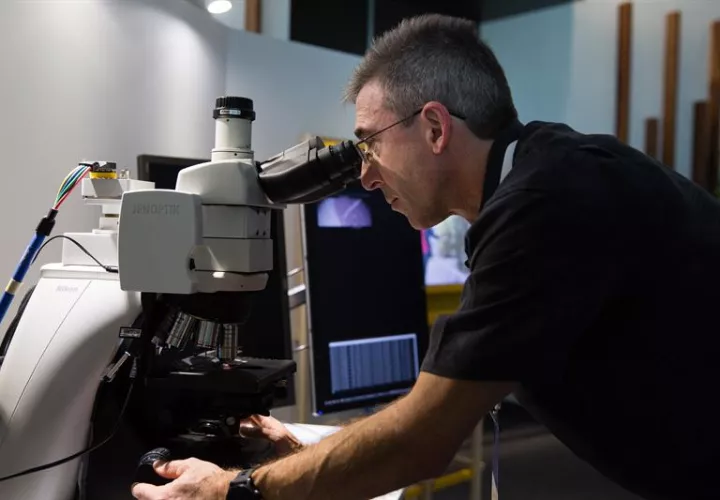 Google es una de las grandes empresas tecnológicas que están apostando con más fuerza por esta tecnología, que recientemente anunció que destinará $25 millones a ayudar a organizaciones que usen la inteligencia artificial para solucionar problemas. EFE