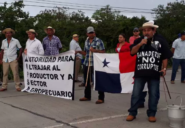 Los productores aseguran que no se han tomado en cuenta sus peticiones, lo que ha llevado al sector a una profunda crisis. Foto: Thays Domínguez