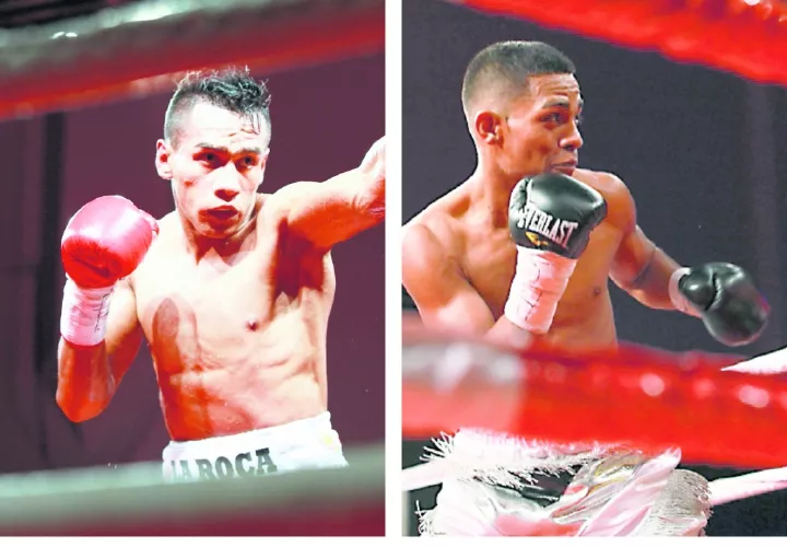 La púgil capitalina Laura Ledezma es la primera clasificada del peso supergallo en la Asociación Mundial de Boxeo (AMB). Fotos: Anayansi Gamez