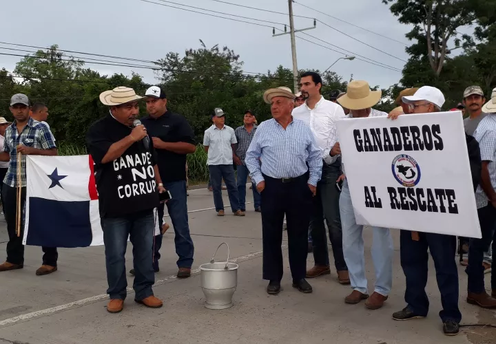 Los productores insisten en que los procesos judiciales sean eliminados.  Foto/Thays Domínguez