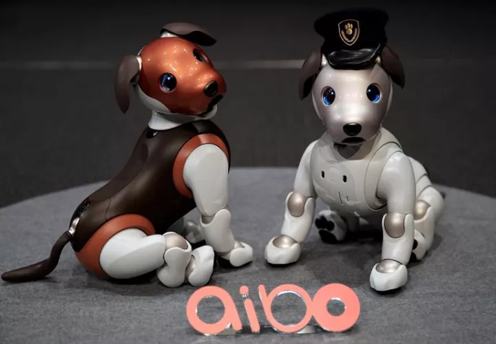 Una joven interactúa con el perro robótico Aibo de Sony este miércoles, durante un evento de prensa, en la sede de la empresa en Tokio (Japón). EFE