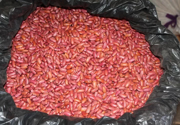 En este rubro hay cerca de 1,300 productores que están pasando una difícil situación. Foto/José Vásquez