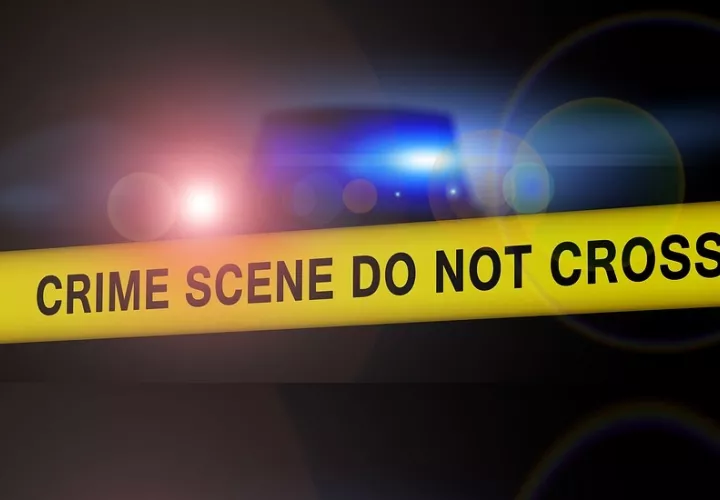 Foto: Ilustrativa - Pixabay