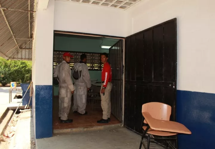 Los bomberos combaten a las abejas africanizadas en colegio. Foto/Thays Domínguez