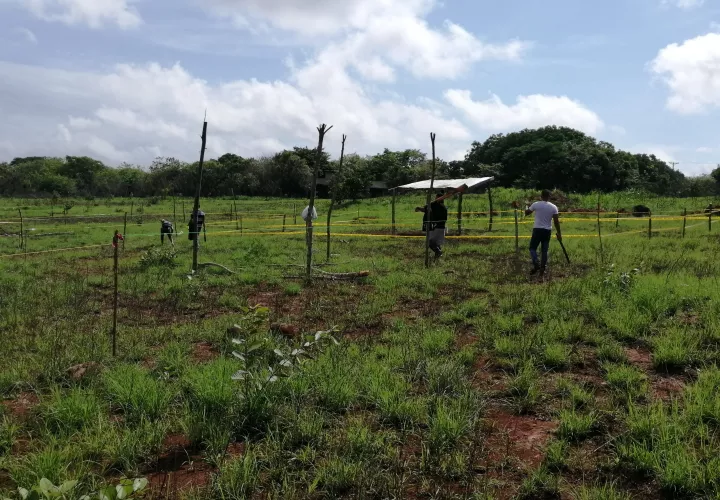 Invasión del terreno en La Chorrera. Foto: Eric Montenegro