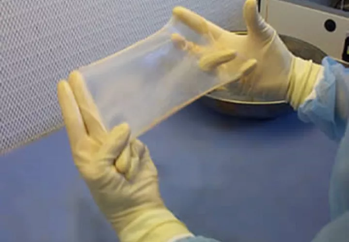 Foto: Ilustrativa Wikipedia