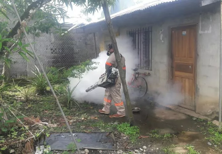La mayor infestación del mosquito Aedes aegypti es en Las Lomas de Puerto Armuelles, donde 15 de cada 100 casas lo tiene. José Vásquez