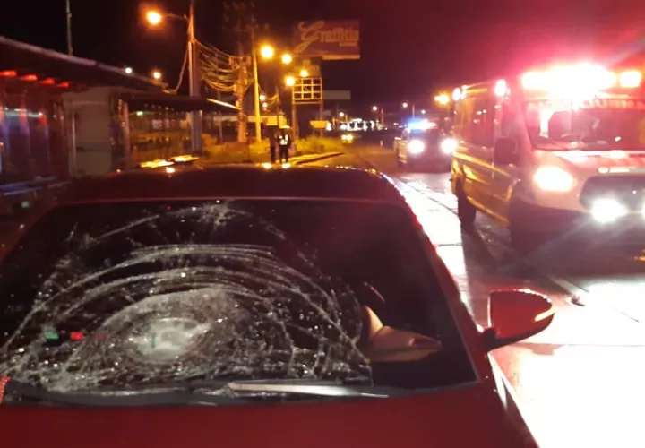 Video  / Foto: Alexander Santamaría 