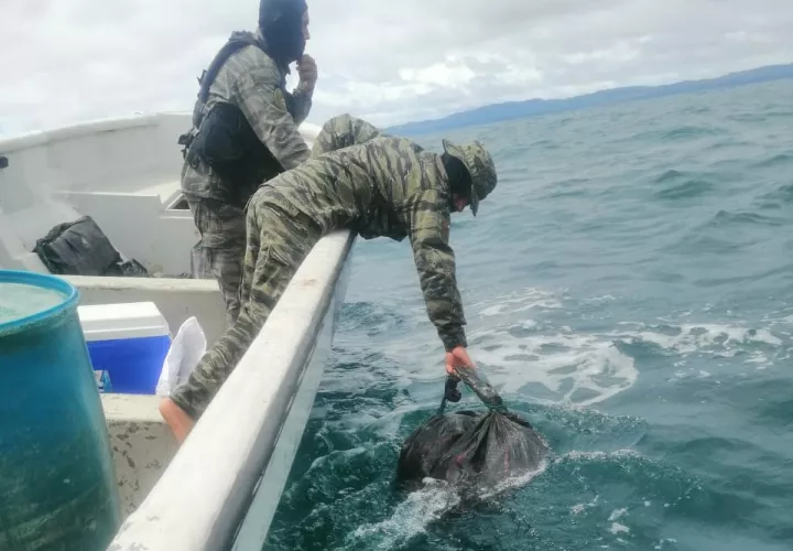 En una operación conjunta entre el Senan y la Policía se logró el decomiso de 120 paquetes de presunta sustancia ilícita en Isla Cébaco, provincia de Veraguas. 