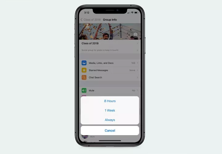 Este cambio, si bien puede considerarse pequeño, es significativo para la experiencia de uso. Foto: @WhatsApp 