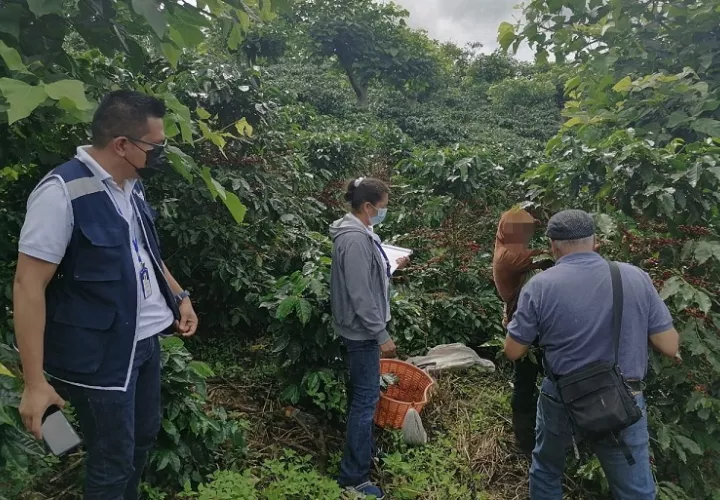 Mitradel reafirma su compromiso en la lucha contra el trabajo infantil en Panamá.