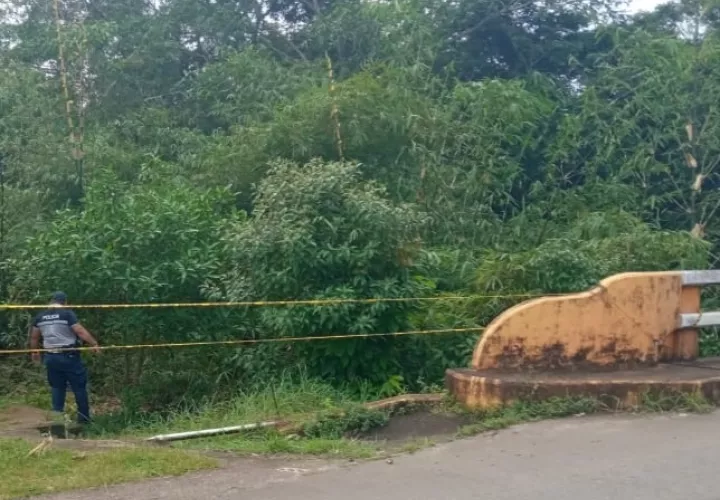 Aún no se ha informado si el cuerpo corresponde al de un hombre o de una mujer.