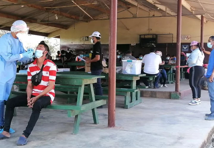 Este fin de semana, un grupo de 178 trabajadores llegaron hasta el distrito de Santa Maria, en la provincia de Herrera.