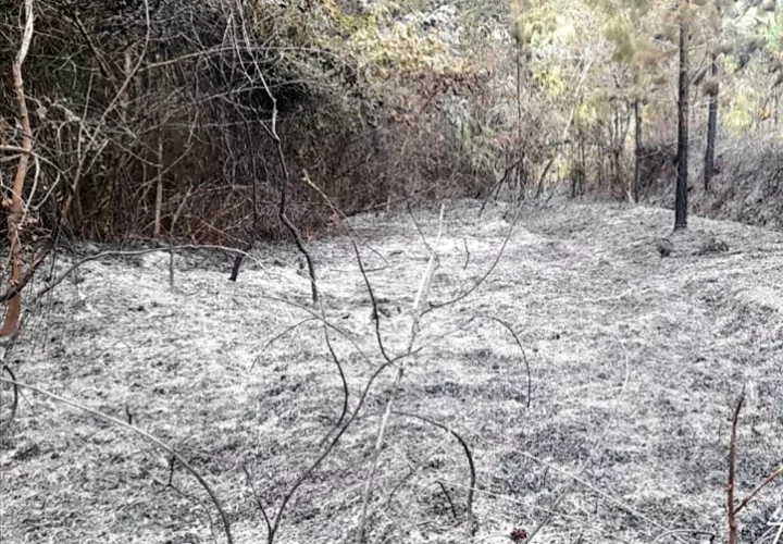 El fuego consumió varias hectáreas de bosque específicamente en el Sector de La Peña, distrito de Las Minas.