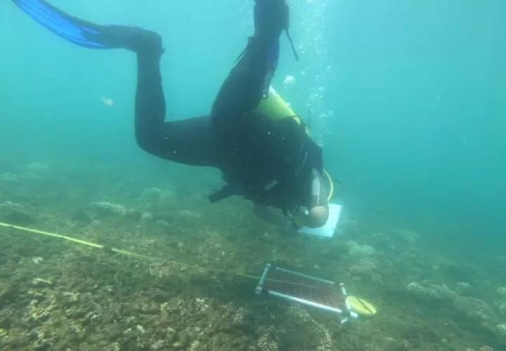 Durante las inmersiones se observó una cantidad considerable de  coral fracturado, lo que supone la presencia de malas prácticas de uso del recurso.