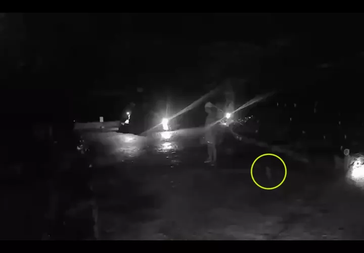 En el video también se logran apreciar varias sombras.