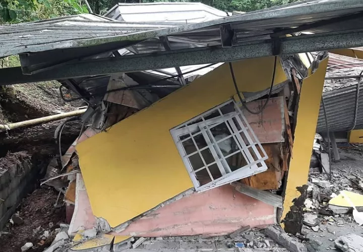 Este miércoles también se reportaron caídas de árboles en diferentes puntos de la ciudad capital y en Panamá.