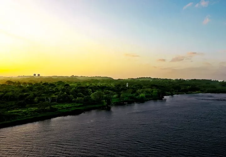 La Asamblea se discute un proyecto presentado por el Miambiente que aumenta las penas de los delitos ambientales existentes. Foto: Ilustrativa - Pixabay