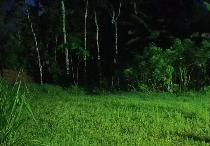 El hecho ocurrió en una finca ubicada en área montañosa. Foto: Landro Ortiz