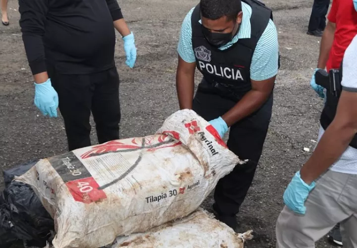 La sustancia ilícita fue incautada mediante Mediante acciones contra el narcotráfico.