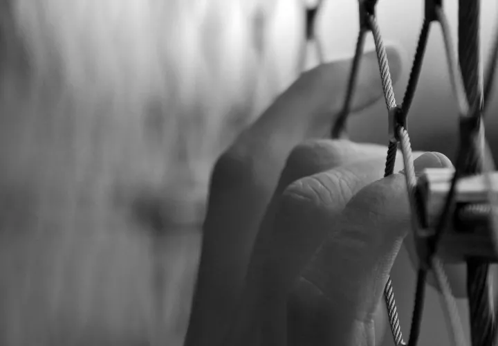 Foto: Pscar h en Pixabay 