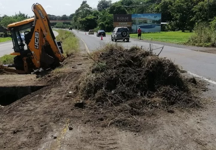 La existencia de herbazales impedía el paso de peatones, de un lado a otro.