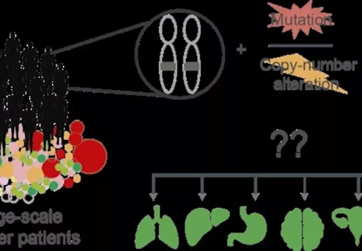 Según este estudio a gran escala de datos de pacientes con cáncer, las mismas alteraciones genómicas afectan de manera diferente según su interacción con otras mutaciones presentes en distintos tipos de cáncer. EFE
