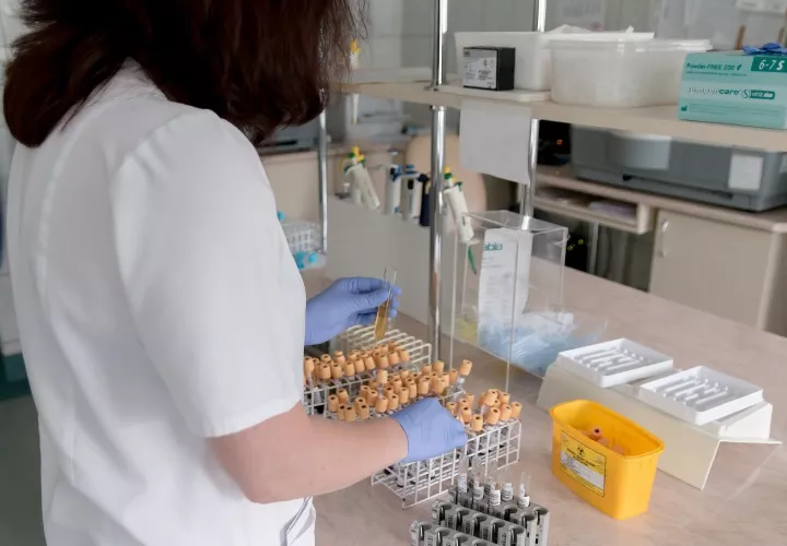 El decreto habilita una sombrilla más amplia para la nacionalización. Pixabay