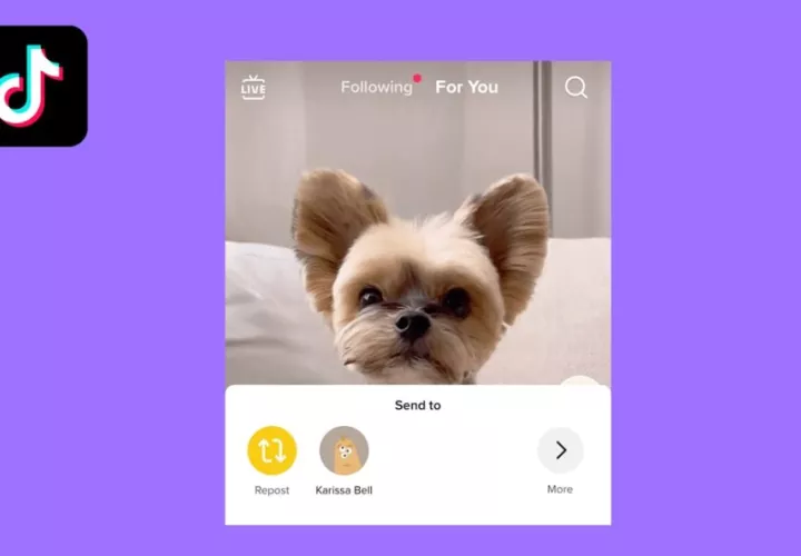 TikTok prepara un botón para repostear una publicación, al fiel estilo Twitter. (foto: TikNewsTok)