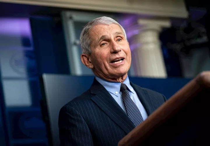 Anthony Fauci, principal epidemiólogo del Gobierno estadounidens EFE