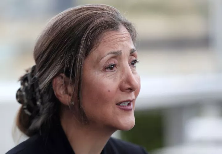 El hijo de la política Ingrid Betancourt, presentó la demanda en 2018. FOTO/EFE