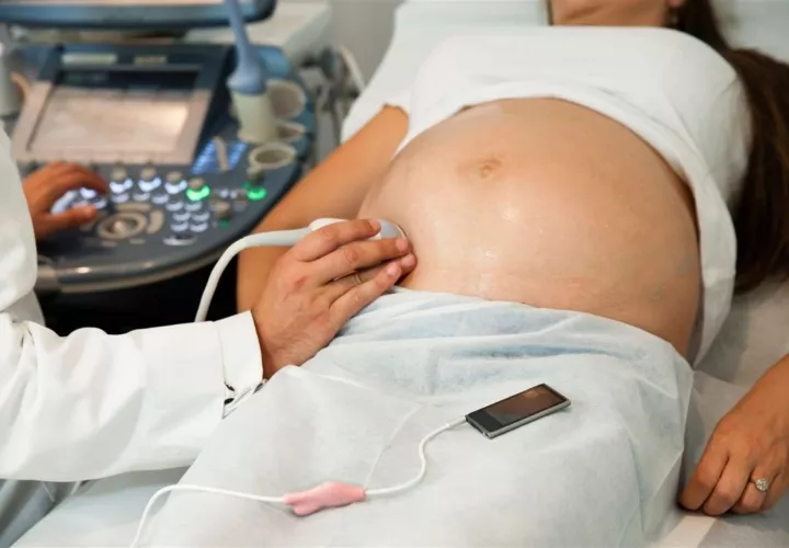 Las promotoras indican que la ley busca responder al problema de la infertilidad y garantizar el derecho de todas las parejas e individuos a decidir libre y responsablemente el número de hijos, por medio de la maternidad subrogada y la reproducción humana